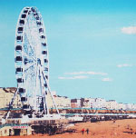 Brighton Screenprint